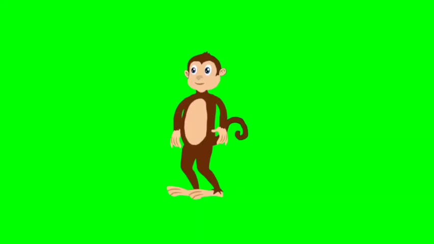illustration of a monkey standing character with green screen video