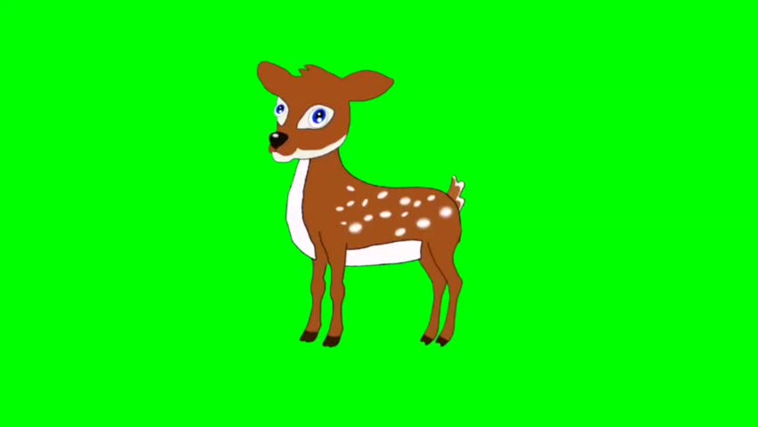illustration of a deer standing character with green screen video