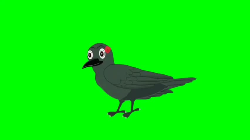 funny crow standing character on green background