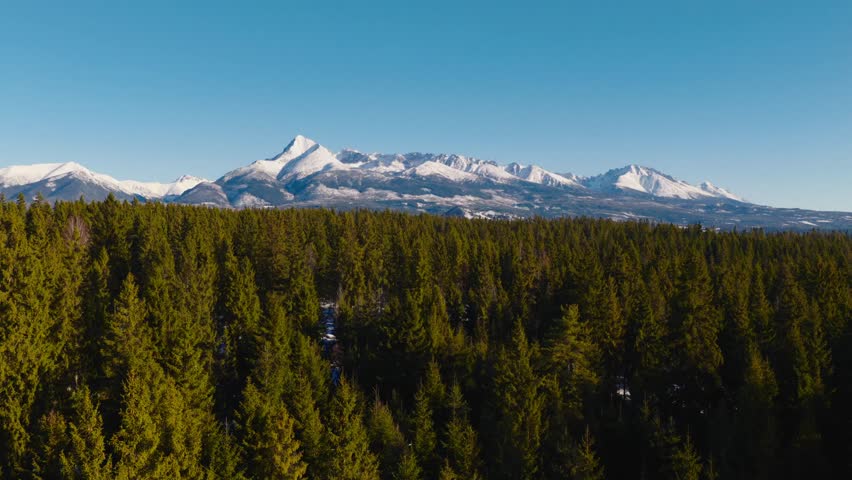 Wide winter panorama of the High Tatras in Slovakia with iconic Kriváň peak rising above dense evergreen forest. Snow covered mountain range under clear blue sky, calm alpine scenery.