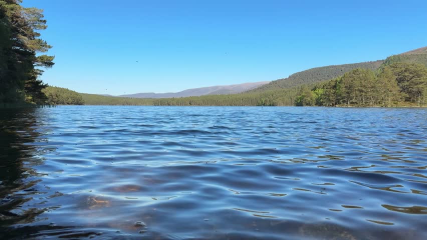 Insects hovering over rippling water of Scottish loch in summer