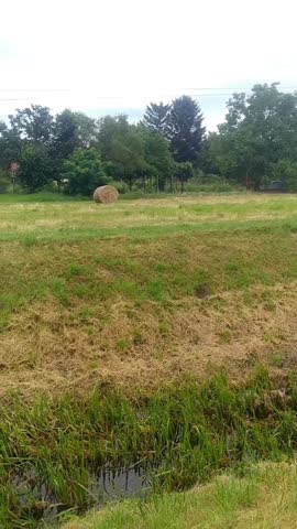 In the morning, hay bales stand on the bank of the stream.

