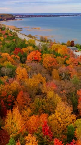 Forest Ontario During Autumn View

File Type - MP4
Size 97.4 MB
Length 39 second