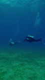 Vertical footage, Group of scuba divers swimming in deep of dark blue water above sandy seabed, Slow motion - Powered by Shutterstock - Get 15% off with code: PIKWIZARD15