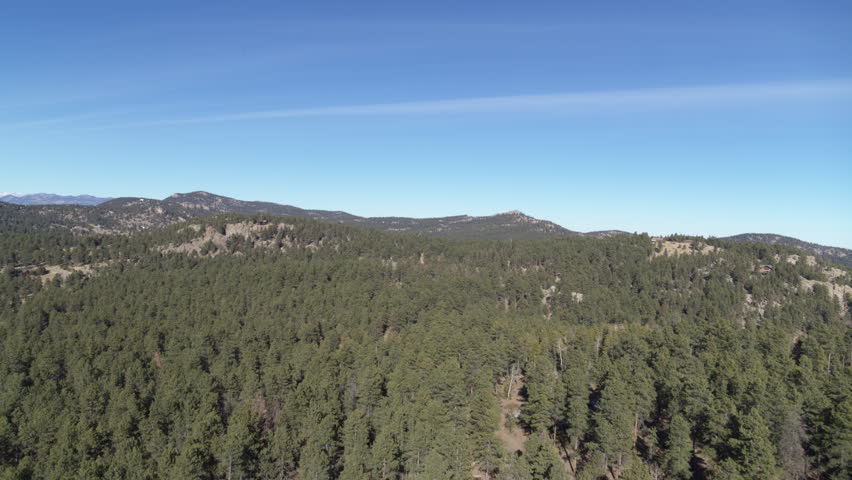 Aerial of pine forest in Conifer Colorado on sunny fall day