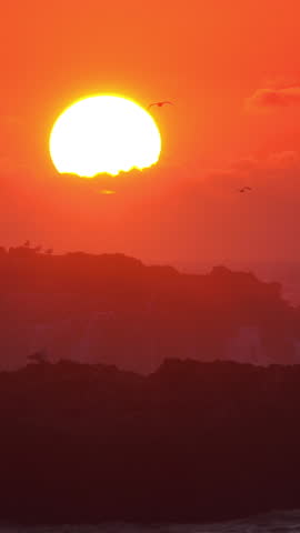 Seagulls fly over the sea against the backdrop of the setting sun. Vertical video