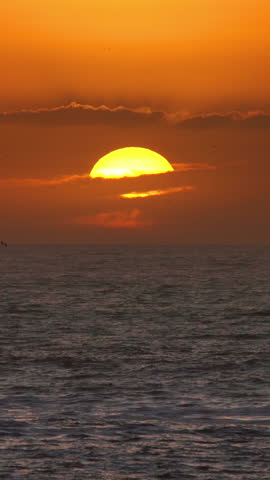 Seagulls scream and fly over the sea against the backdrop of the setting sun. Vertical video