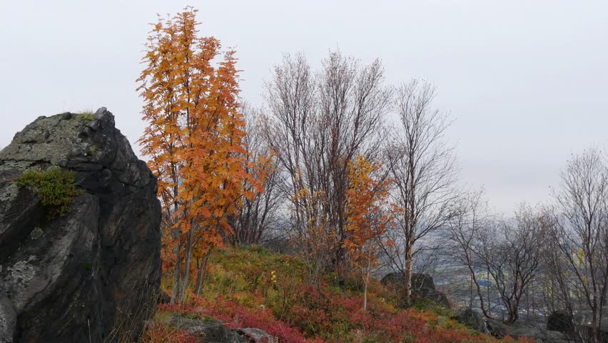 A typical landscape of the Lapland tundra on the Kola Peninsula with lakes and rocks in cloudy weather in late autumn. Sad autumn trees with leafless leaves.