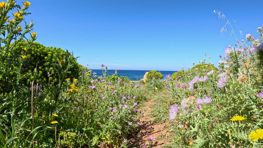 POV: Walking down a sandy footpath through spring wildflowers toward remote beach by the deep blue Mediterranean Sea. Distant cliffs frame the coast, with a small camper van parked near the shore.