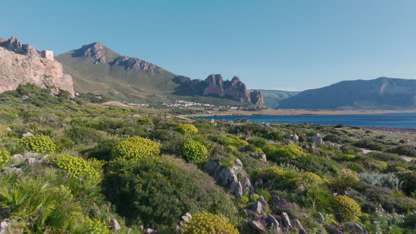 AERIAL: Lush coastal shrubs and wildflowers stretch toward calm bay, with rugged mountains rising behind shoreline. Clear blue sky and Mediterranean Sea create a serene landscape on island of Sicily.