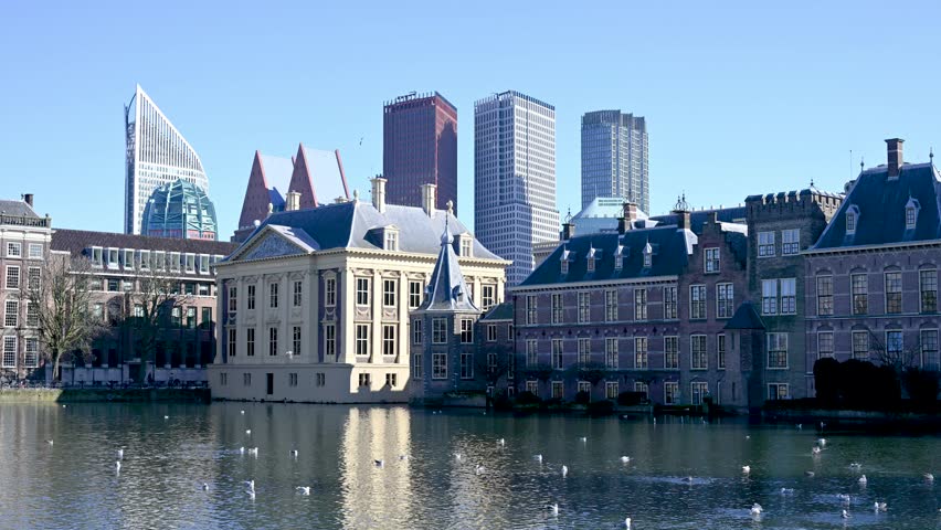 Bird flying on the pond of Mauritshuis museum and the Dutch parliament buildings in The Hague, Netherlands