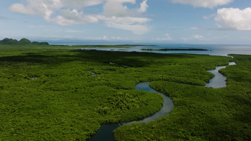 River winding through dense mangrove forest with view of coastline and cloudy sky. Siargao, Philippines.