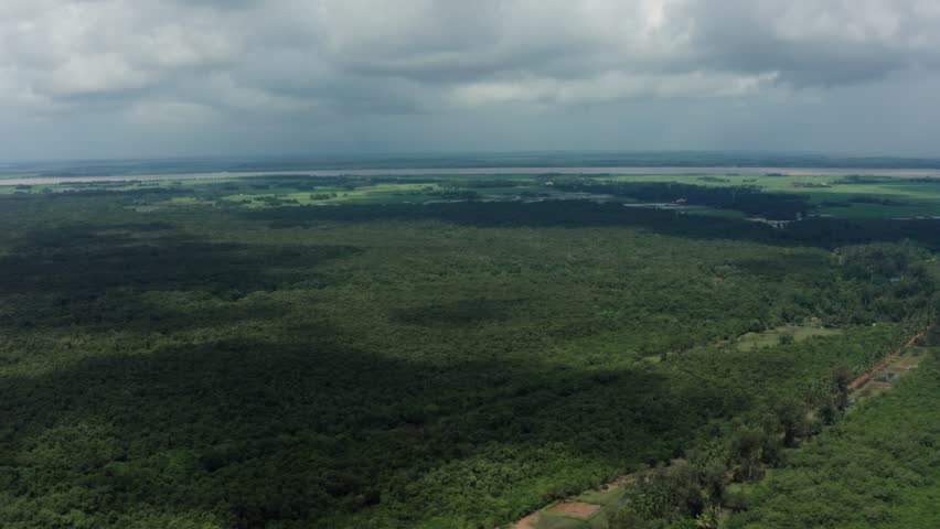 Sweeping drone panorama over endless green mangrove canopy under cloudy skies in Bhitarkanika wetlands in Odisha, India.