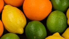 Mix citrus fruits. Citrus orange fruits, lemons and limes. Assorted whole citrus fruit close up, rotate - Powered by Shutterstock - Get 15% off with code: PIKWIZARD15