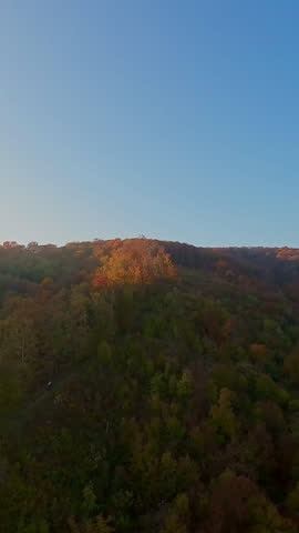 Golden Autumn Foliage Blankets Rolling Hills Under a Clear Blue Sky
