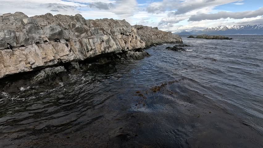 Beagle Islands near Ushuaia, some inhabited by cormorants, condors, seals, penguins and sea lions at the iconic Les Eclaireurs Lighthouse Argentina Tierra de Fuego 