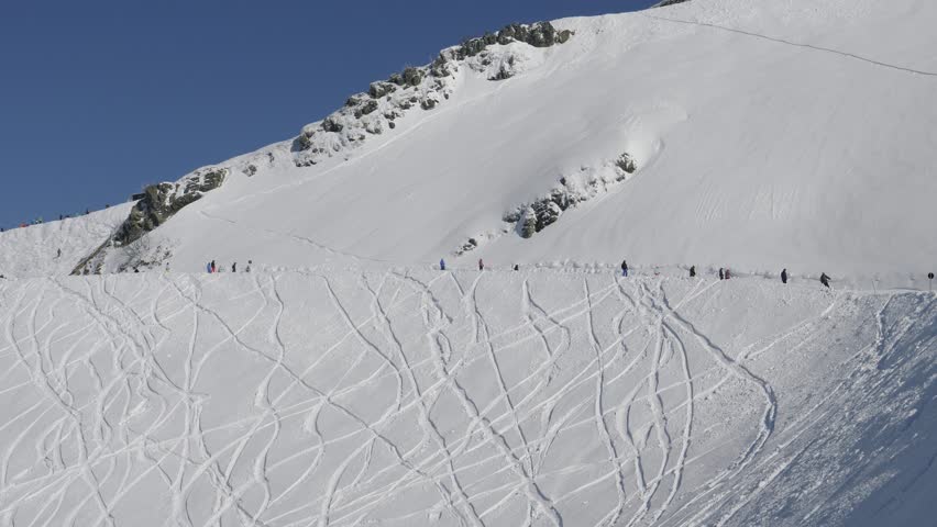 Snowy peak exploration thrill. Many skiers skiing across snow mountain piste beneath blue sky. Team of winter sports enthusiasts skiing on snowy mountain slope under bright winter atmosphere