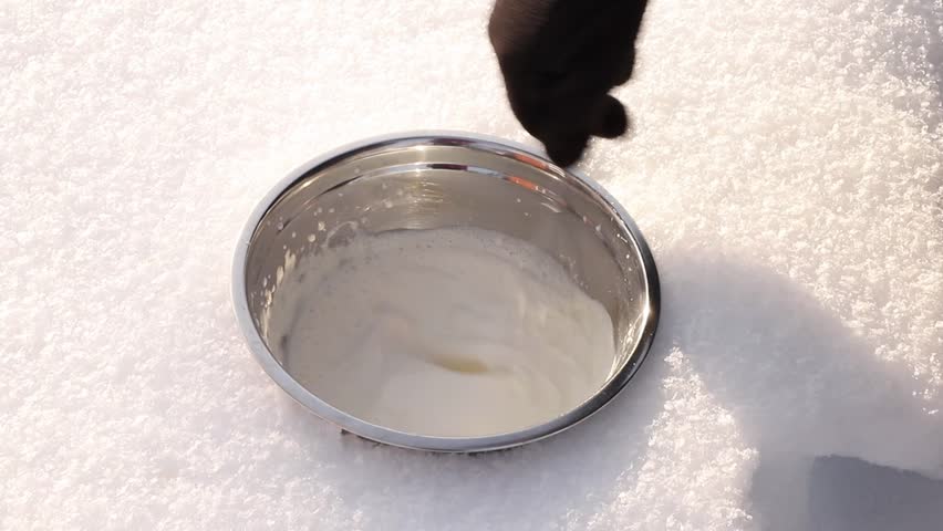A person hand-whisks whipping cream to make ice cream, hand-churning it in a metal bowl in the snow outdoors during winter.