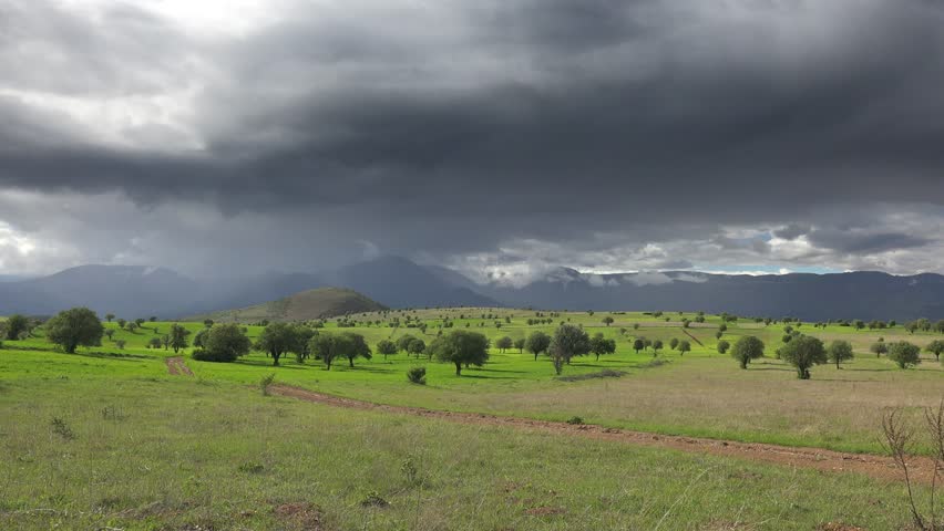 Panoramic agricultural fields and orchard trees spread across green mountain valleys Romania. Rural farms, fruit groves, and calm weather define fertile countryside beneath dramatic clouds.