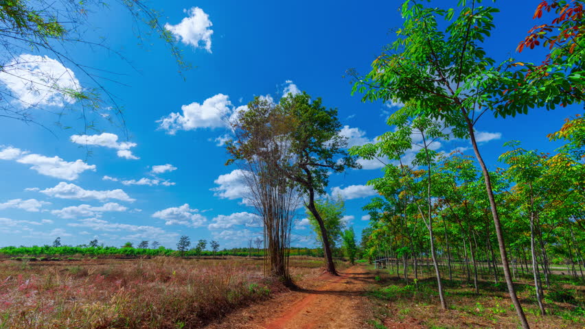 Timelapse time passing moving clouds over rural countryside forest  tree