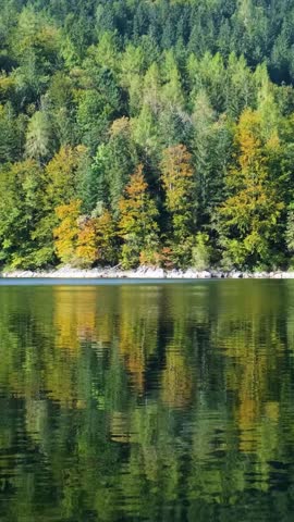 Green Lake with green tree landscape