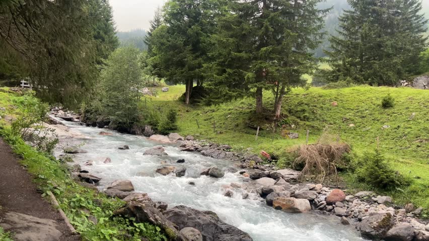 Clear alpine stream flowing through a green Swiss forest valley, with rocks, grass slopes, and conifer trees creating a calm natural mountain landscape.