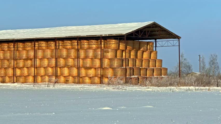 Hay bales stacked under a shelter, winter storage on a snowy farm field