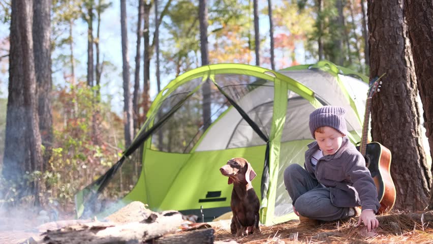 Young boy playing with his dog at a campsite in the woods