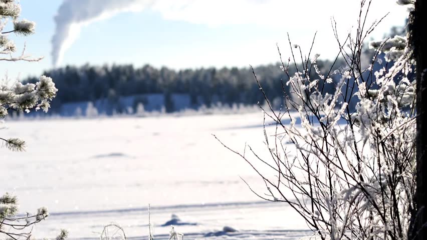 Snow falling from frozen branches on a sunny winter day. Cinematic shot of a frozen lake and forest background with sparkling snow particles. Shot in 4K Fine with Canon EOS R7.