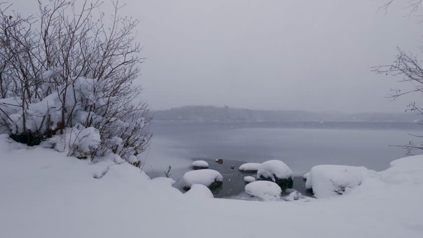 An overcast sky hangs above a frozen lake as snow falls softly among frosted trees. Tranquil winter scenery capturing peaceful Canadian nature and seasonal stillness.