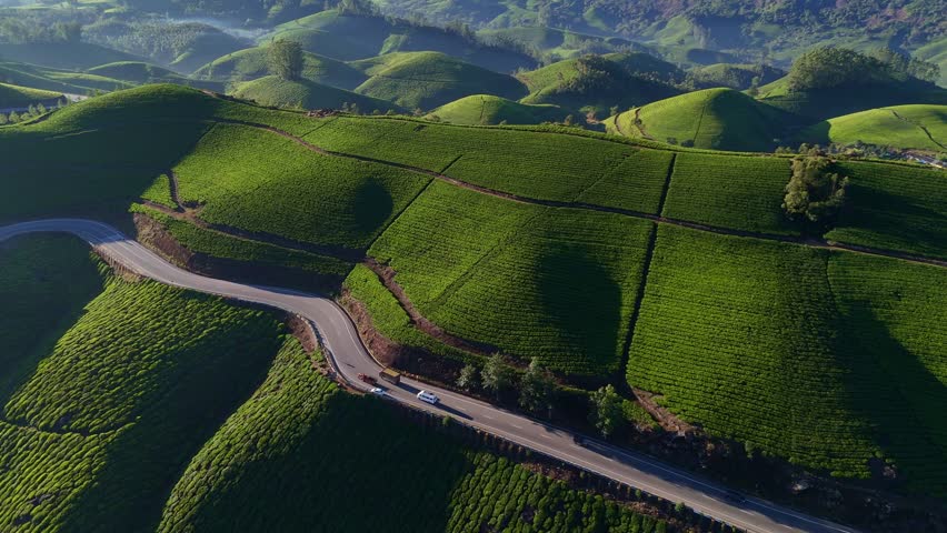 Aerial drone footage of lush green tea plantations in Munnar, Kerala, captured during early morning with soft mist and fog rolling over the hills. The serene mountain landscape, winding plantation patterns, and fresh atmosphere showcase the natural beauty of South India’s highlands. Ideal for themes of nature, travel, agriculture, sustainability, and scenic rural landscapes.