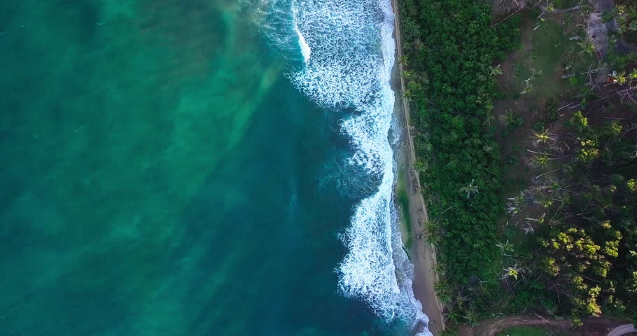 Caribbean Island Coastline with waves, Ocean Waves, Palm Trees, Puerto Rico, Rincon,  Drone Aerial 4K