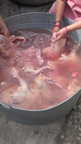 LATIN WOMEN WASHING CHICKENS IN A LARGE PAN