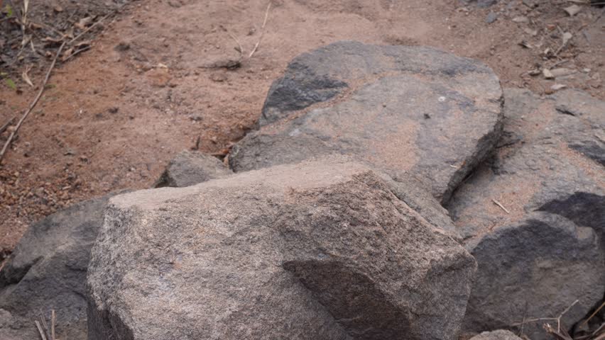 Close view of rough natural rocks resting on dry forest ground with earthy textures