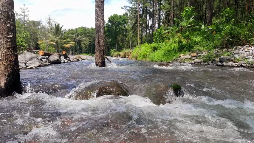 A close-up shot of a clear, fast-flowing river stream rushing over natural rocks in the heart of a lush forest. The footage captures the energetic white water rapids set against a backdrop of vibrant green trees. A key feature of this video is the high-quality, crisp ambient sound of the flowing water, offering a complete sensory experience perfect for projects focused on relaxation, wilderness, or freshwater ecosystems