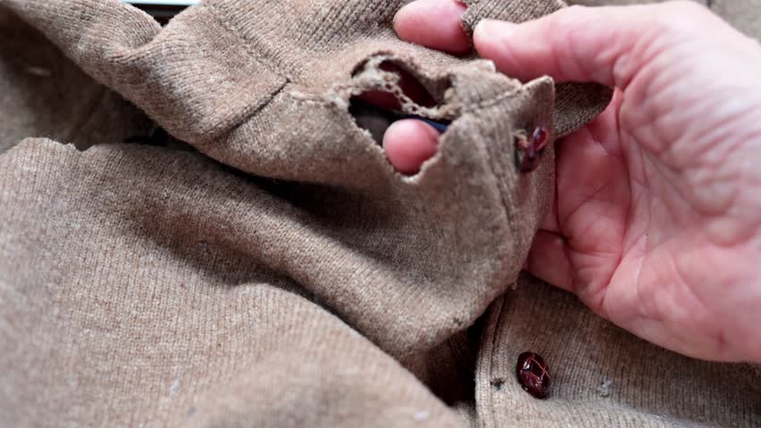 Close-up of a brown wool sweater with moth holes