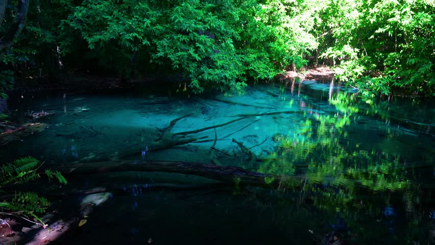 Exotic blue turquoise hot spring pool in lush jungle of Krabi