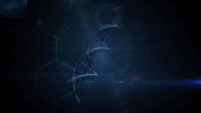 Animation of dna with identity and data processing on navy background. global data processing, science and technology concept digitally generated video. - Powered by Shutterstock - Get 15% off with code: PIKWIZARD15