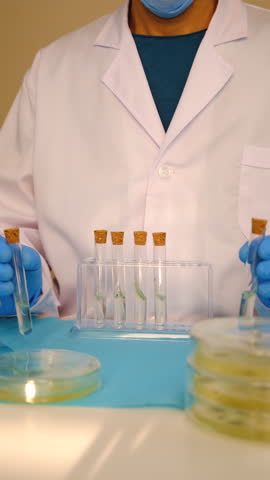 Research in the laboratory Petri dishes. Selective focus.