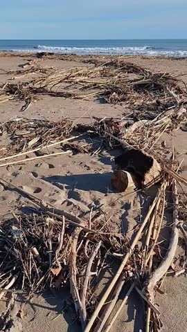 Debris on Chichoulet beach after a Mediterranean storm. Debris and driftwood carried by the Aude river to its mouth.Vendres-Plage, France