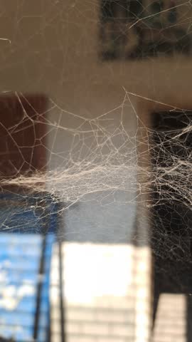 A spider web suspended indoors, its fine strands forming a complex, lace-like network. Sunlight streams through a nearby window, catching on the threads and creating shimmering reflections and faint shadows in the blurred background.