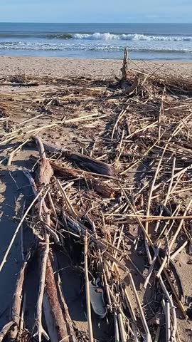 Debris on Chichoulet beach after a Mediterranean storm. Debris and driftwood carried by the Aude river to its mouth.Vendres-Plage, France
