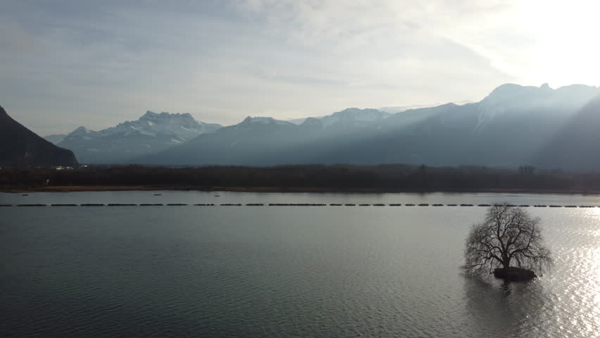 Minimal aerial footage of tree in water at Lake Geneva
