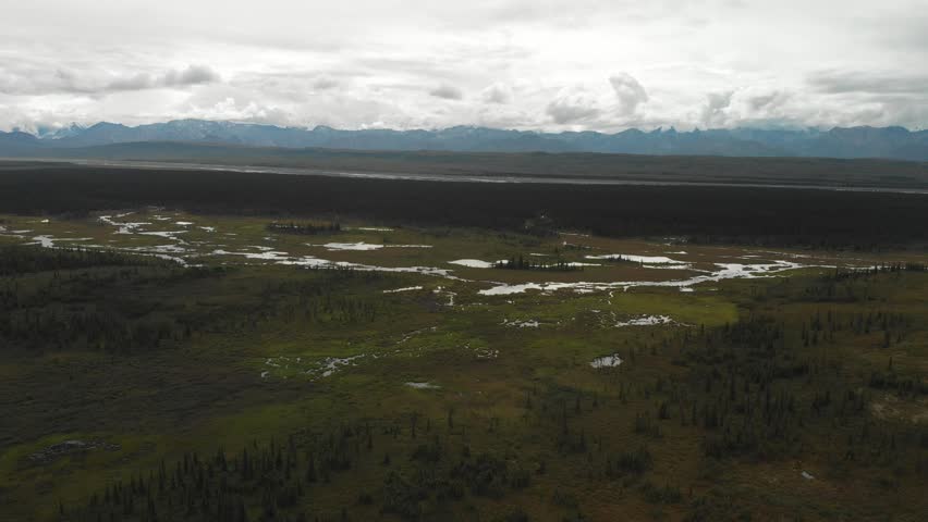 Aerial view of Denali mountain peak in summer