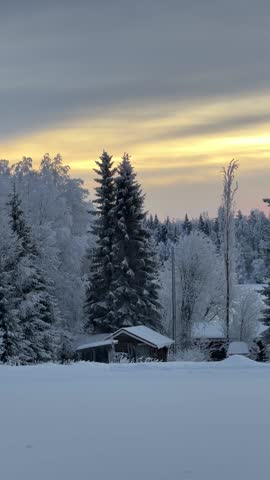Beautiful winter landscape with wooden hut and snow covered trees in Lapland Finland