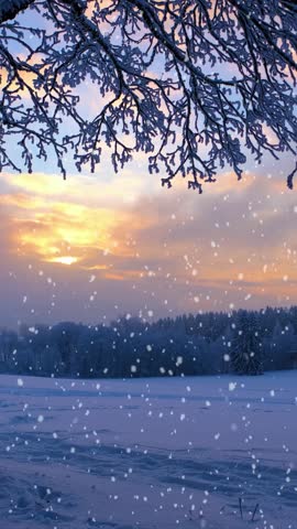 Winter Snowfall at Sunset Over Frozen Forest Landscape