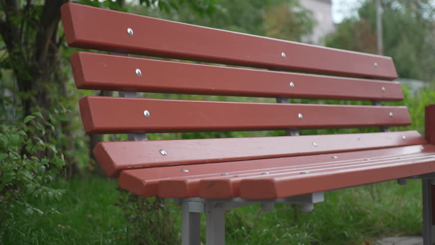 Simple wooden bench placed under lush leafy canopy in city park. Soft daylight and greenery evoke relaxation in addition to comfort