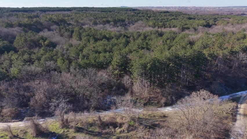 Aerial drone view over mixed forest and winding dirt road, calm countryside landscape with trees, hills, and natural scenery.