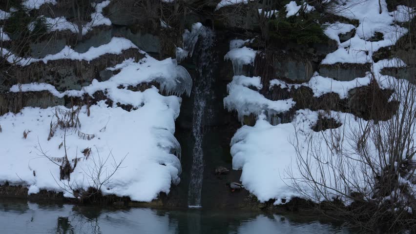 Two mallard ducks swimming at the bottom of a small waterfall in a snowy, icy winter landscape