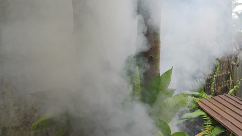 Thick white smoke billowing from burning vegetation and tree trunks in a backyard setting.
